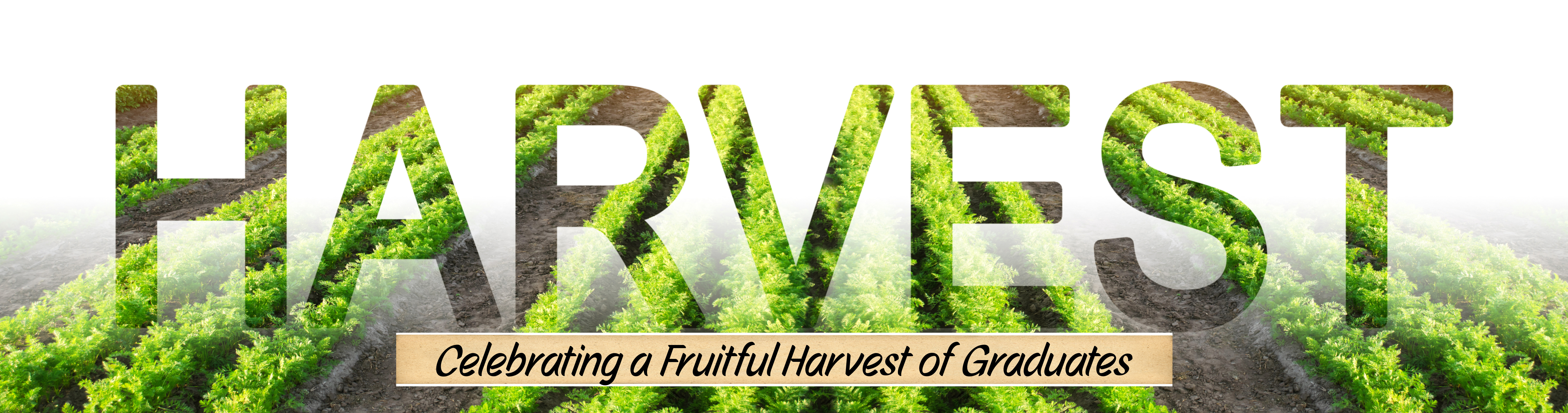 A Harvest of Graduates